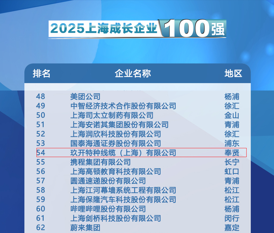 聚焦2025上海百?gòu)?qiáng)發(fā)布會(huì)：玖開(kāi)特種線纜登榜成長(zhǎng)企業(yè)100強(qiáng)